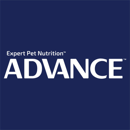 ADVANCE Wet Adult Dog Casserole with Salmon 100g x 12