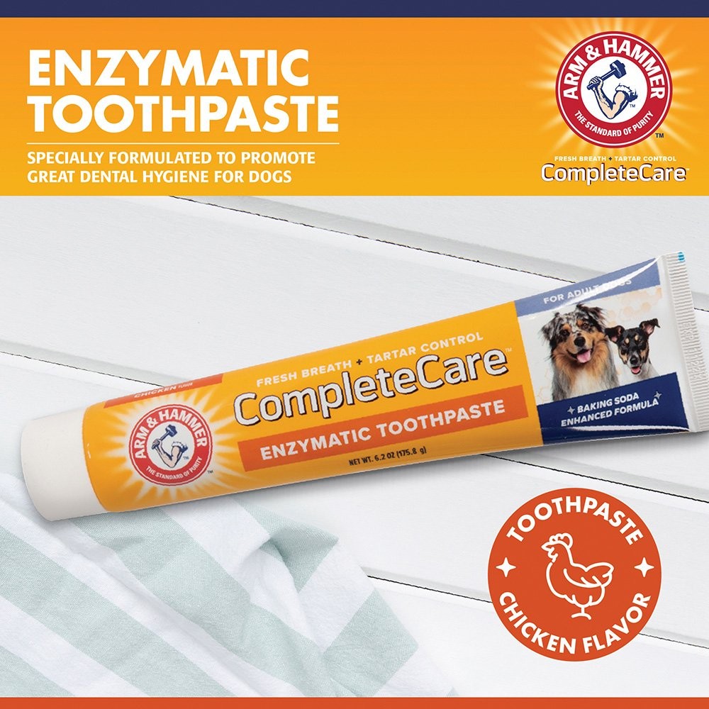 Arm & Hammer Complete Care Dental Kit for Dogs
