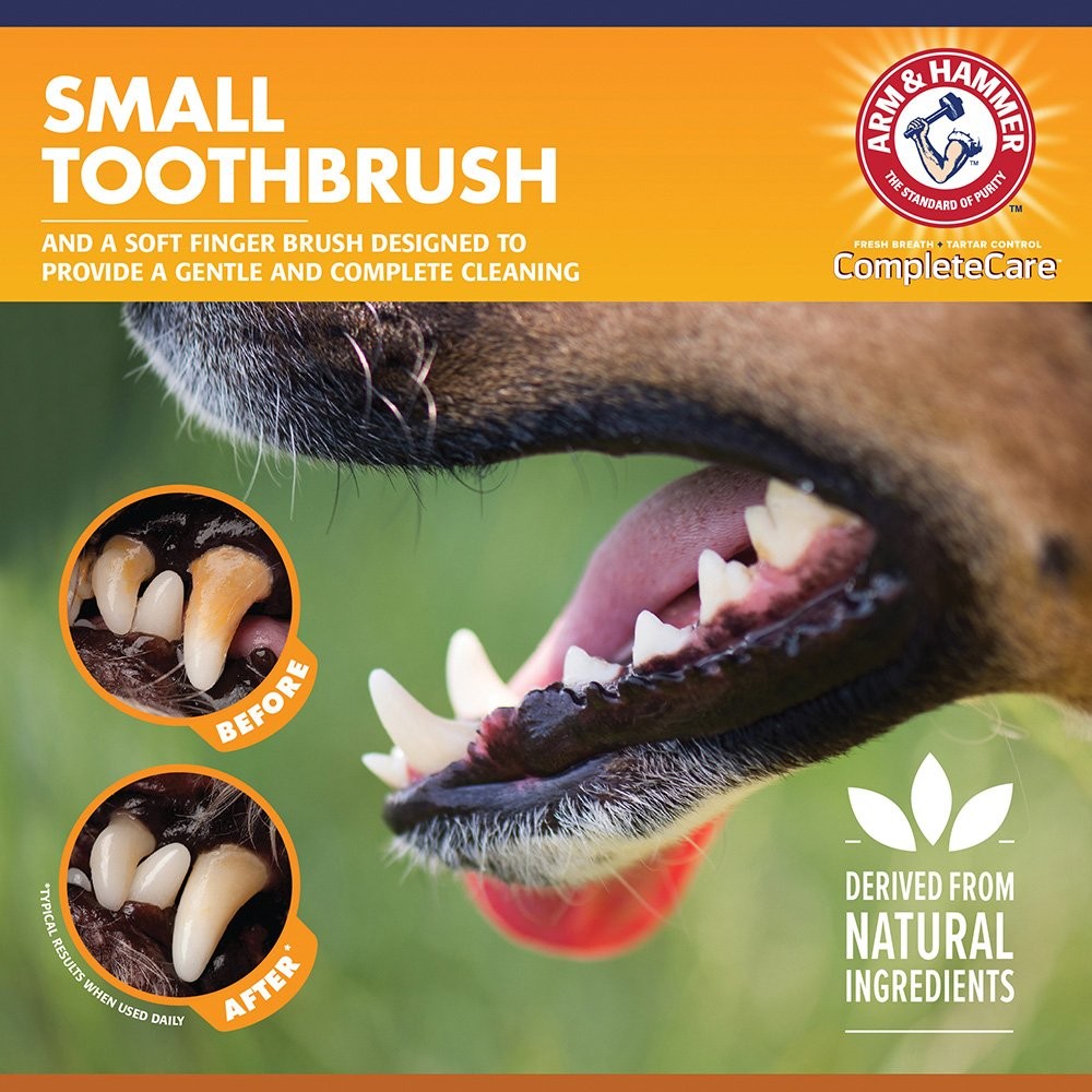 Arm & Hammer Complete Care Dental Kit for Dogs