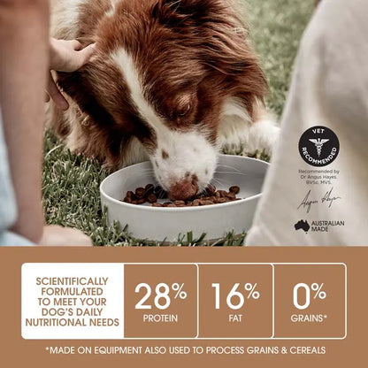 Ivory Coat Grain Free Puppy Large Breed Dry Dog Food Lamb