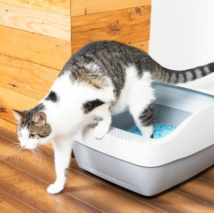 PetSafe Deluxe Crystal Litter Box System