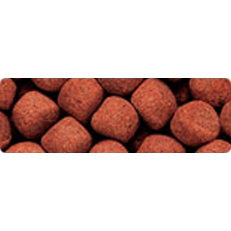 Hikari Cichlid Gold Large 250g