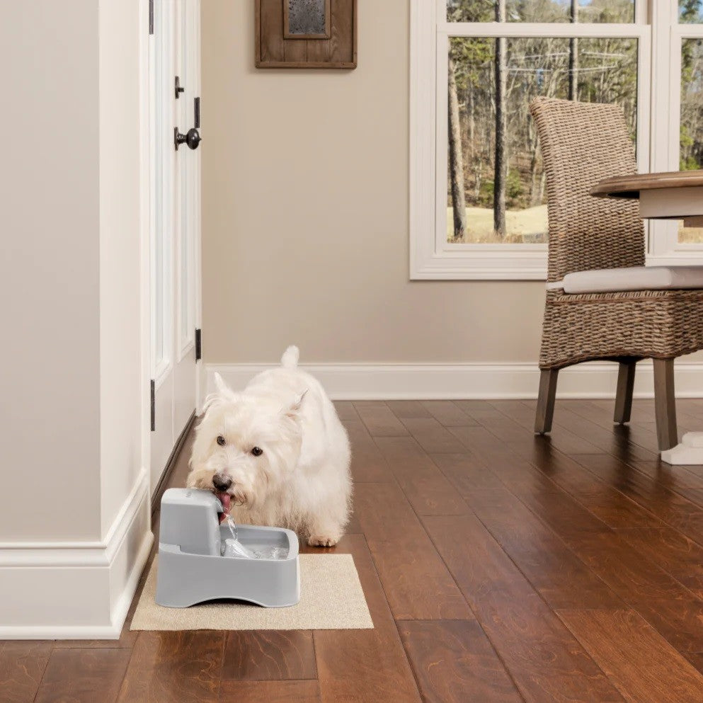 Drinkwell 1.8 Litre Pet Dog Water Fountain