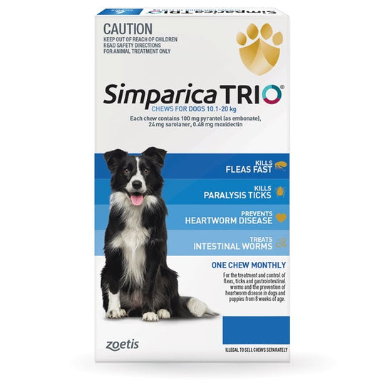 Simparica Trio Medium Dog 10.1-20kg Blue