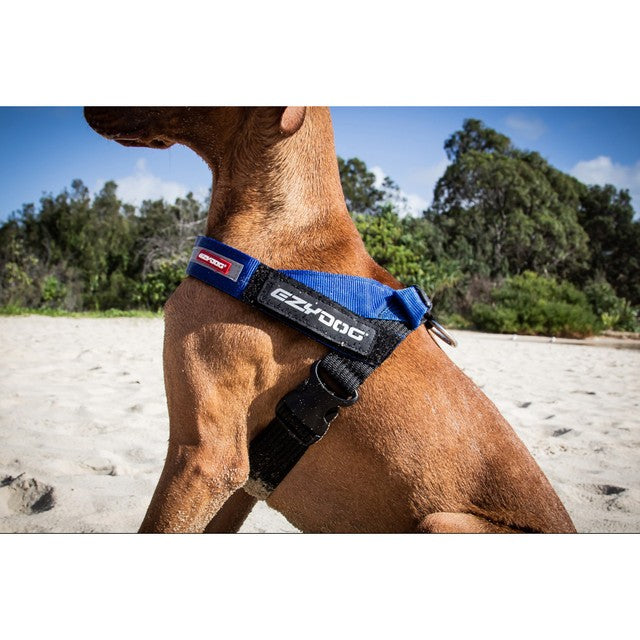 EzyDog Express Harness Black