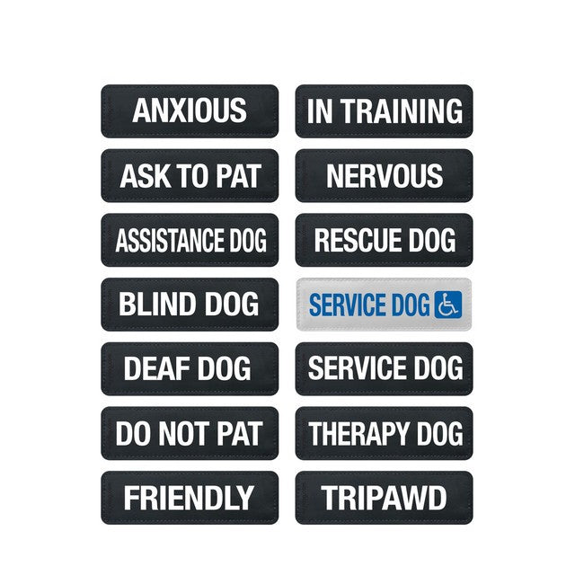 EzyDog Pre Printed Side Labels (Set of 2)