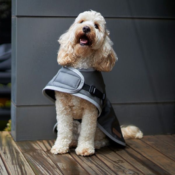 Kazoo Eco Adventure Coat Granite