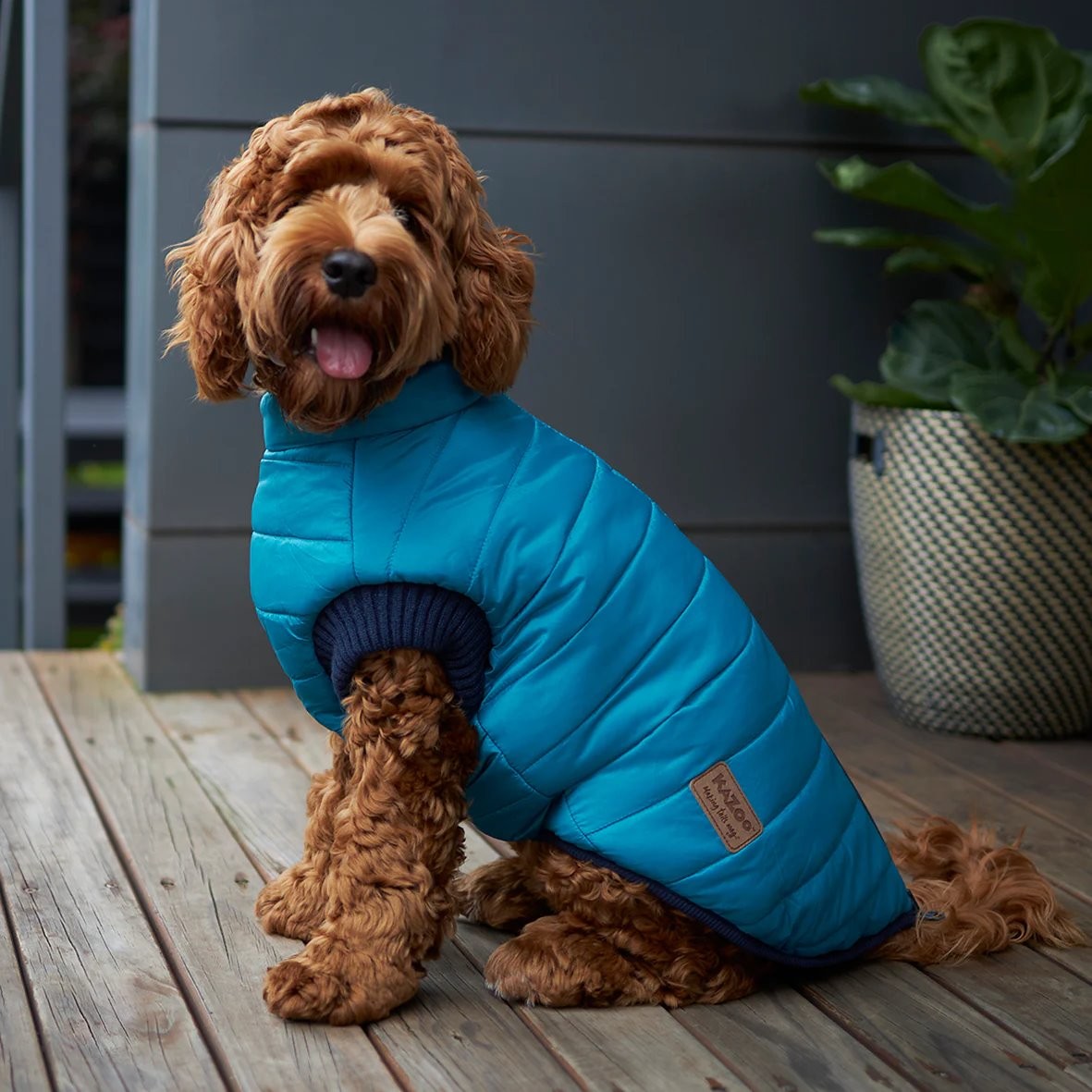 Kazoo Reversible Puffer Dog Jacket - Red & Blue