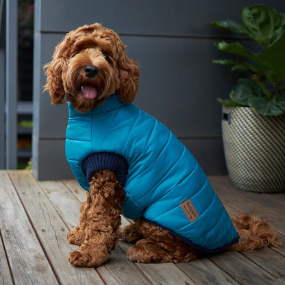Kazoo Reversible Puffer Dog Jacket - Red & Blue