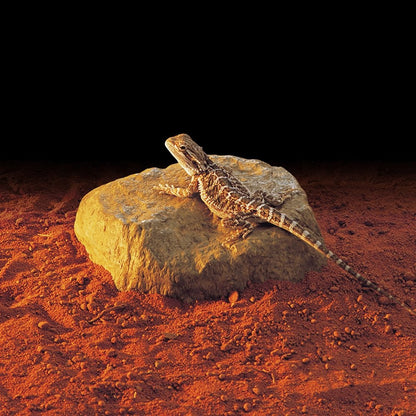Exo Terra Reptile Heating Rock
