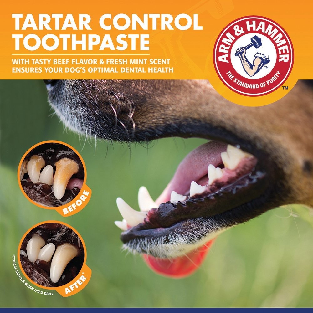 Arm & Hammer Tartar Control Enzymatic Toothpaste for Dogs Beef 70mL