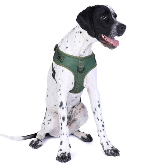 DOOG Neosport Soft Harness Green
