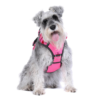DOOG Neotech Harness LADY (Neon)