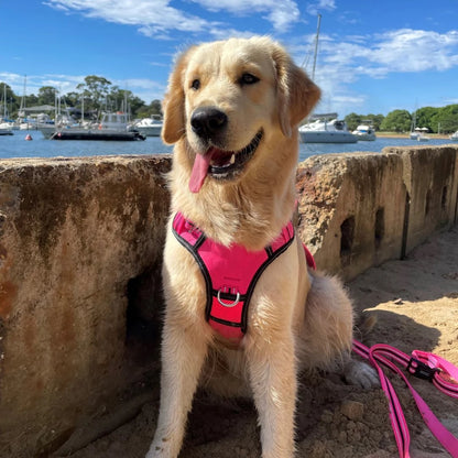 DOOG Neotech Harness LADY (Neon)
