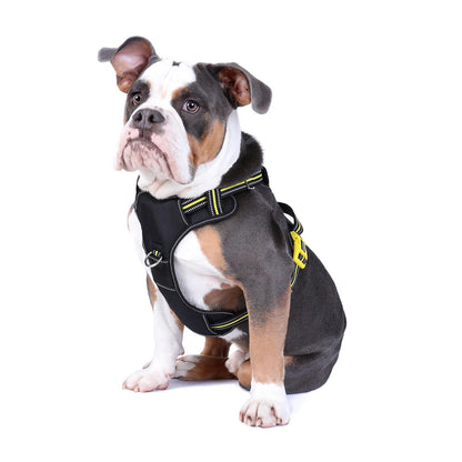 DOOG Neotech Harness BOLT (Neon)