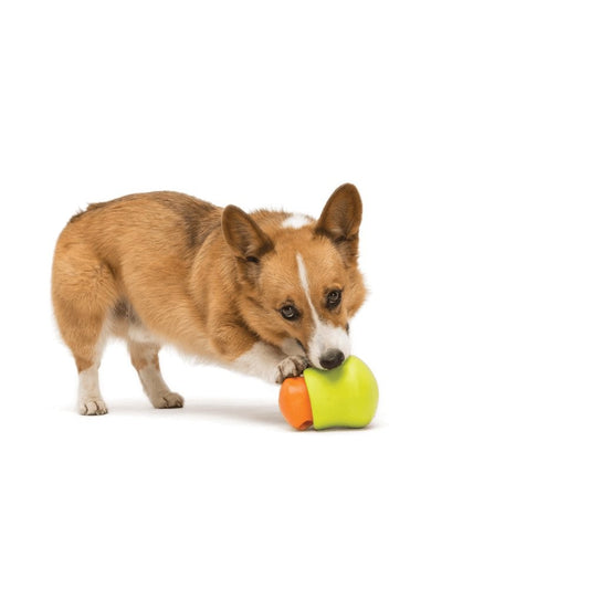 West Paw Toppl Treat Dispensing Wobbling Dog Toy & Food Bowl Granny Smith