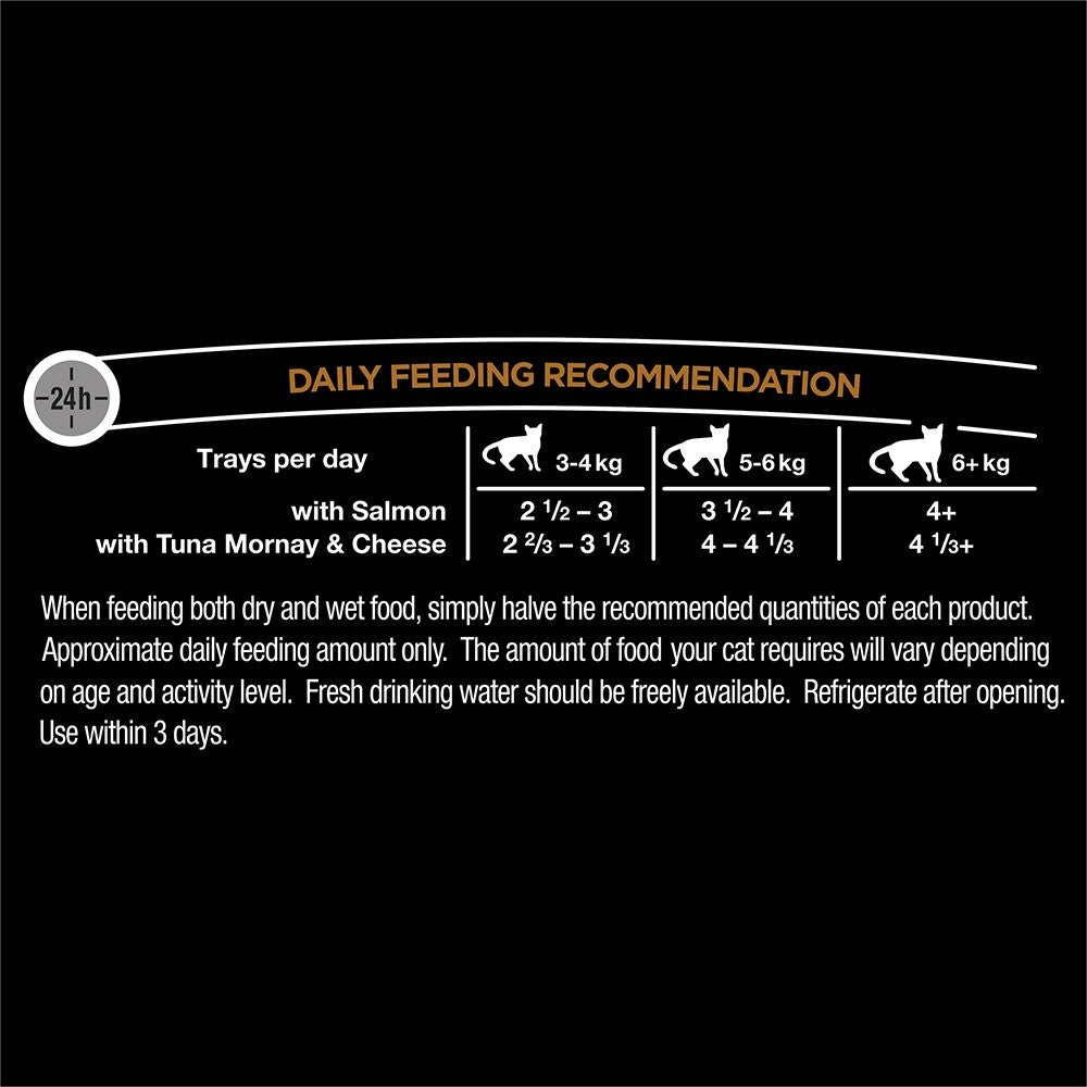 Dine Multipack Classic Collection Salmon Morsels & Tuna Mornay 28 x 85g