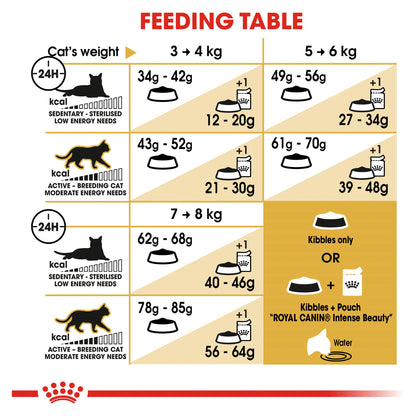 Royal Canin Ragdoll Dry Food