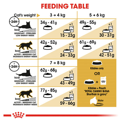 Royal Canin British Shorthair Dry Food