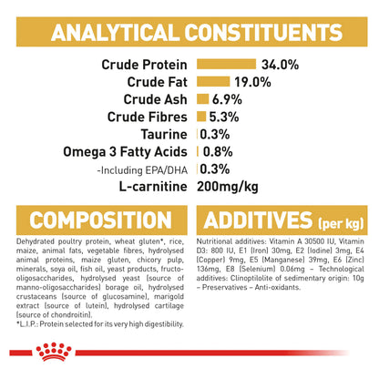 Royal Canin British Shorthair Dry Food