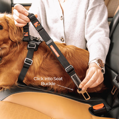 EzyDog Click Dog Seat Belt Zero Shock