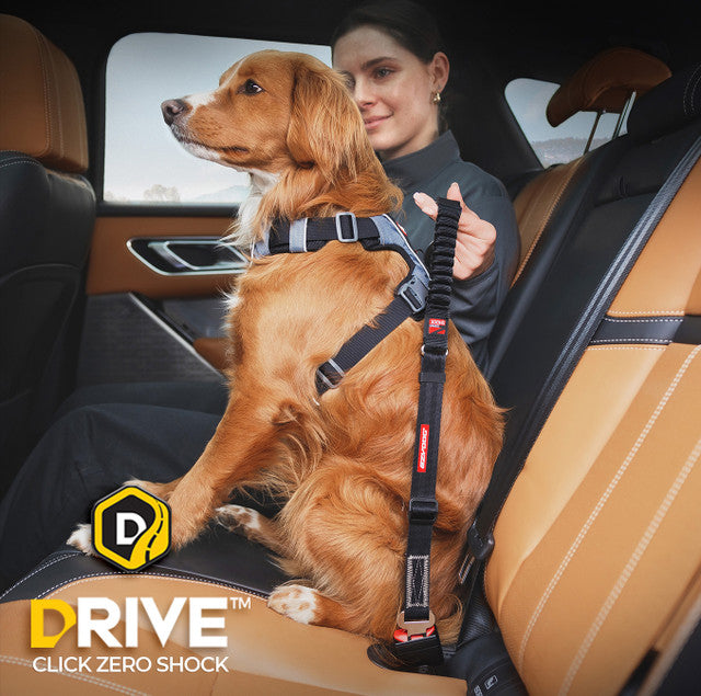 EzyDog Click Dog Seat Belt Zero Shock