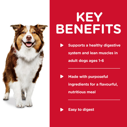 Hill's Science Diet Adult Healthy Cuisine Braised Beef, Carrot & Pea Stew Canned Dog Food