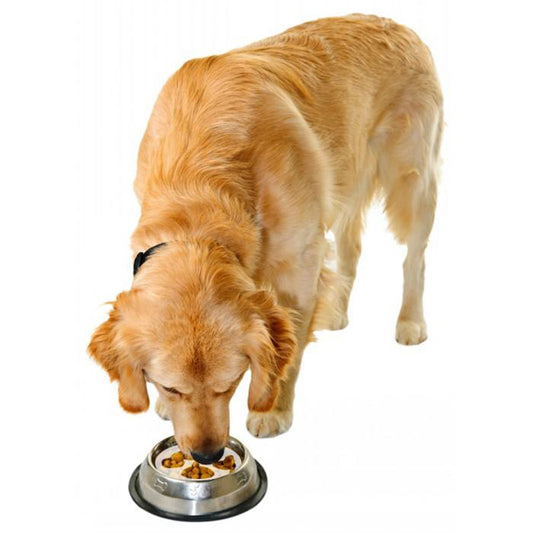 Snugglesafe Gobble Stopper Food Bowl Slow Feeder Disk