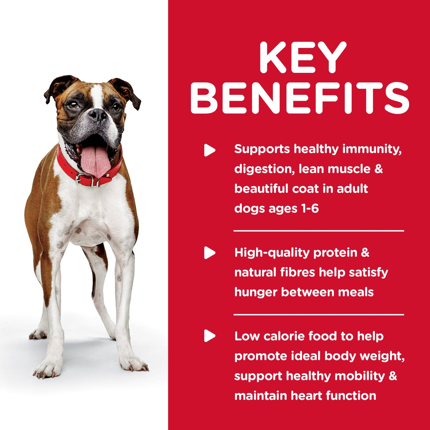 Hill's Science Diet Adult Light Canned Dog Food