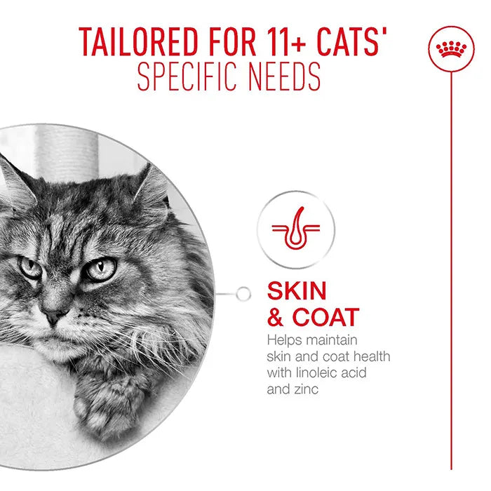 Royal Canin Ageing 11+ Cat Dry Food Bag