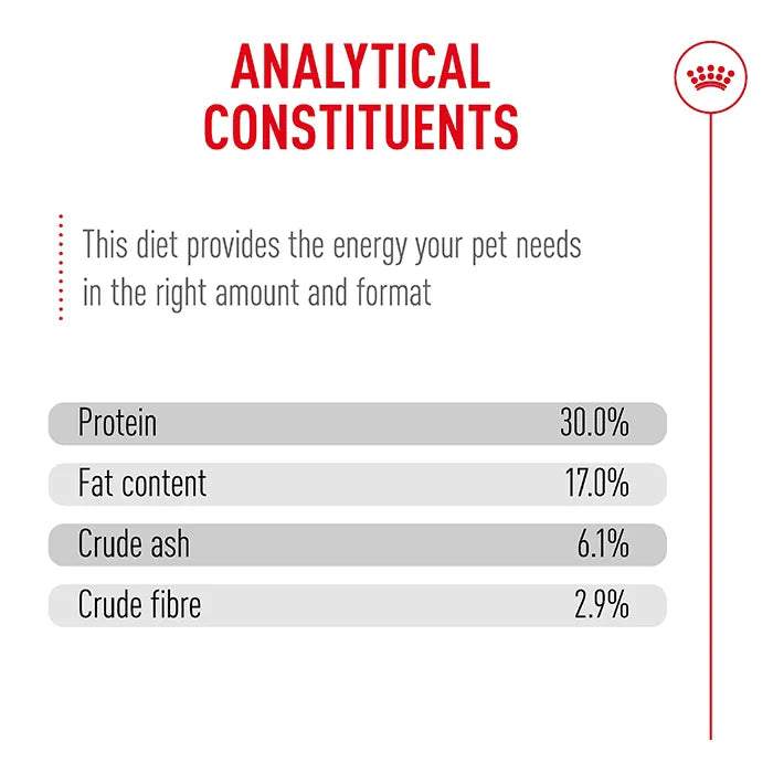 Royal Canin Ageing 11+ Cat Dry Food Bag