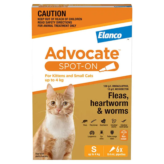 Advocate Cat Small Orange 0-4KG