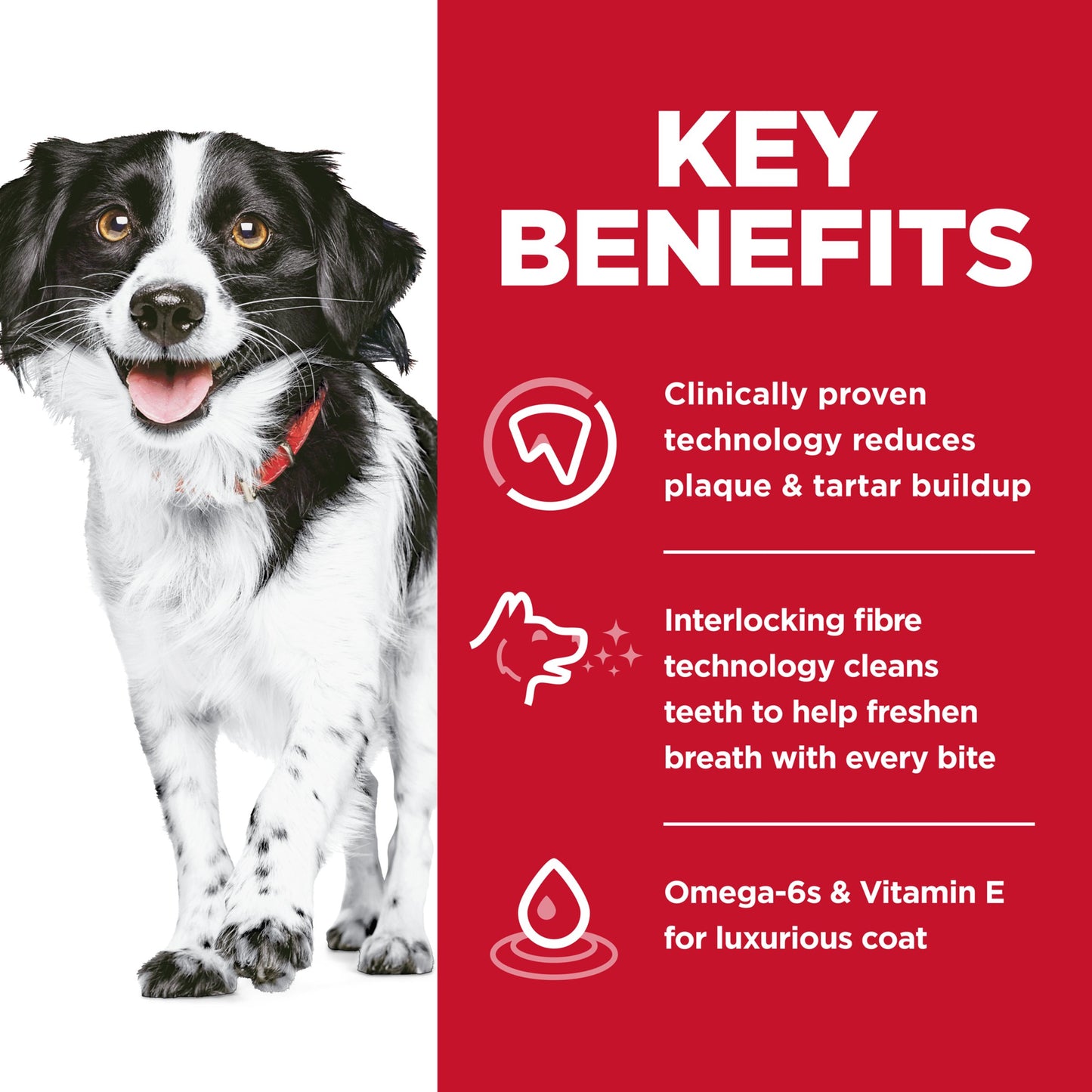 Hill's Science Diet Adult Oral Care Small & Mini Chicken, Rice & Barley Recipe Dry Dog Food