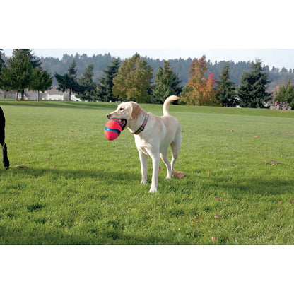 Chuckit! Fumble Fetch