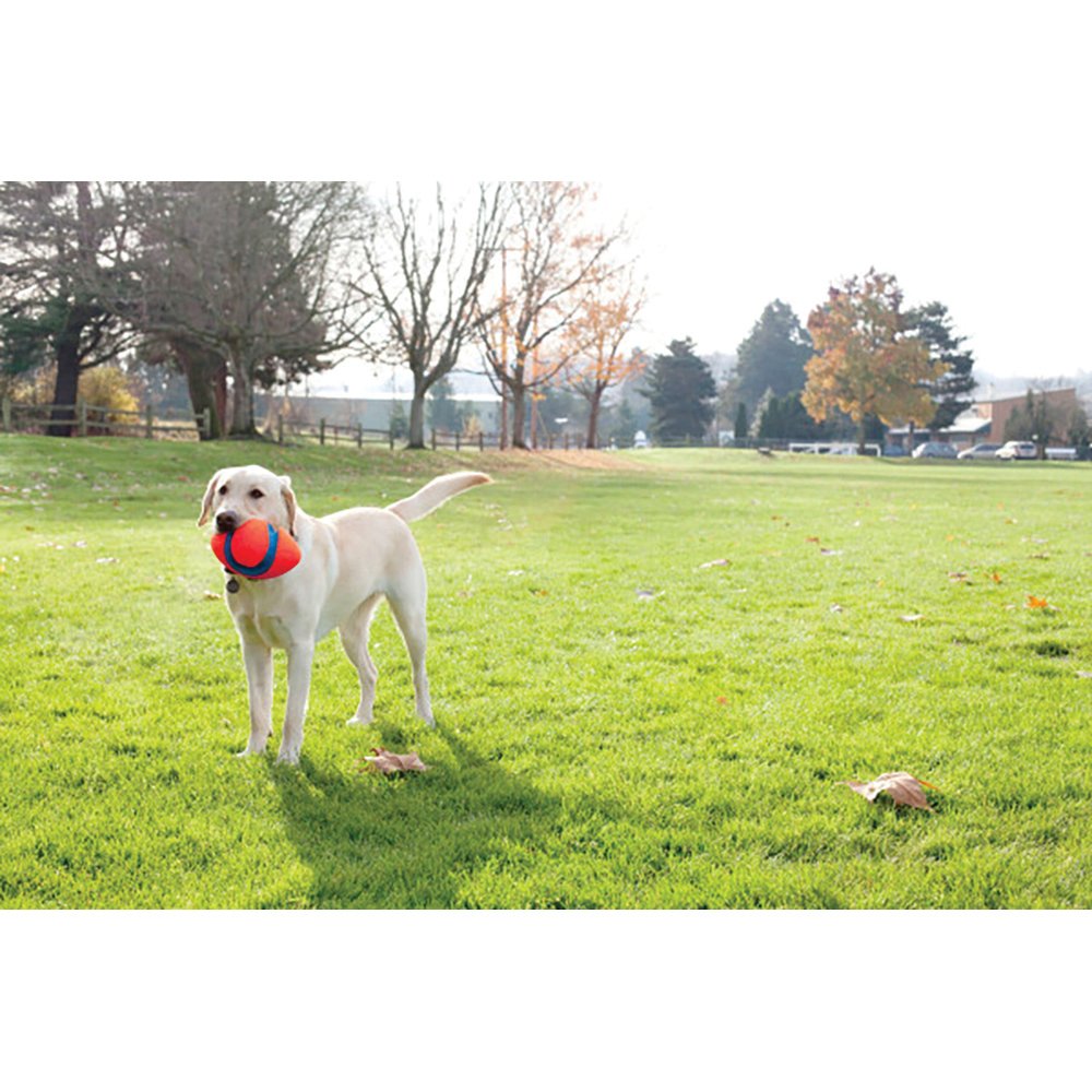 Chuckit! Fumble Fetch
