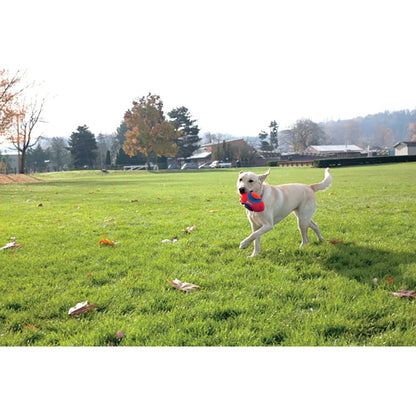 Chuckit! Fumble Fetch