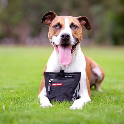 EzyDog SnakPak Dog Treat Bag Black