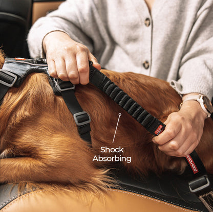 EzyDog Click Dog Seat Belt Zero Shock