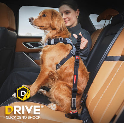 EzyDog Click Dog Seat Belt Zero Shock