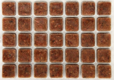 Fish Fuel Co. Axolotl Food 110g