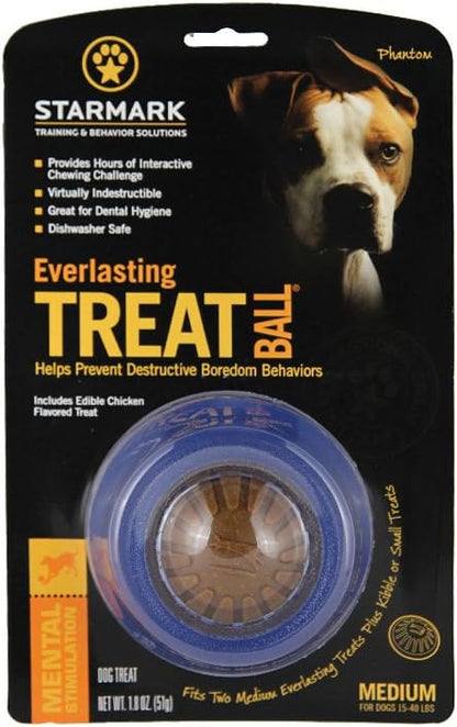 Starmark Everlasting Treat Ball Medium