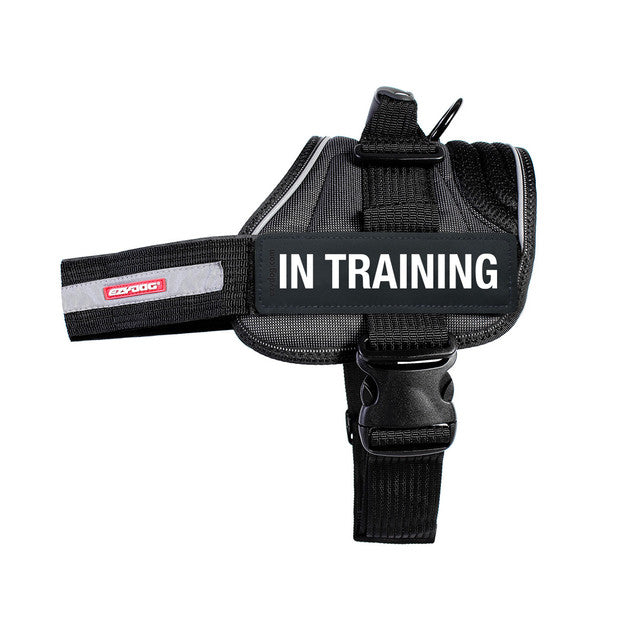 EzyDog Pre Printed Side Labels (Set of 2)