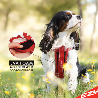 EzyDog Chest Plate Harness