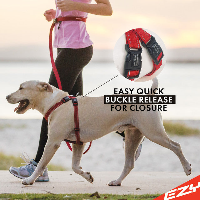 EzyDog Chest Plate Harness