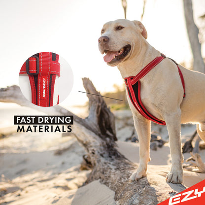 EzyDog Chest Plate Harness