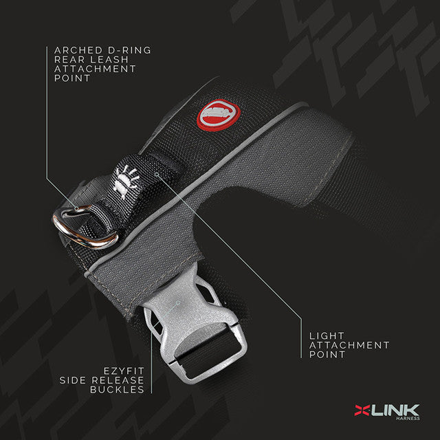 EzyDog X-Link Harness