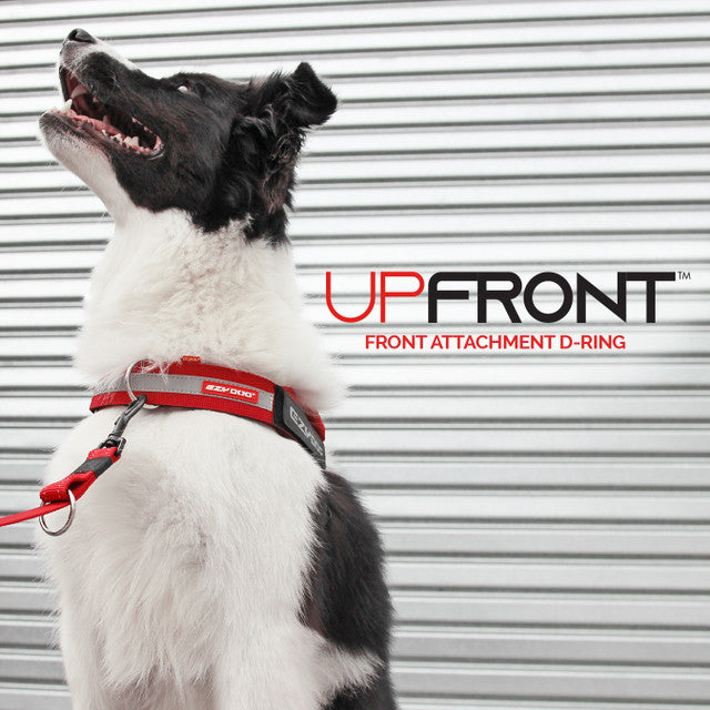 EzyDog Up Front D-Ring Attachment