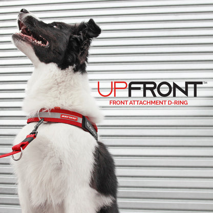 EzyDog Up Front D-Ring Attachment