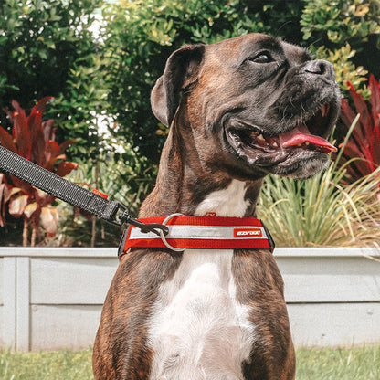 EzyDog Up Front D-Ring Attachment