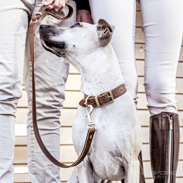 EzyDog Classic Leash Oxford Leather Brown